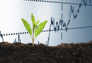 Socially Responsible Investing (SRI): A Primer